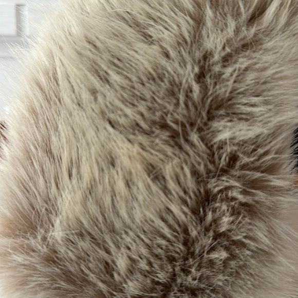 Talbots women small cream down vest faux detach collar - Picture 4 of 6